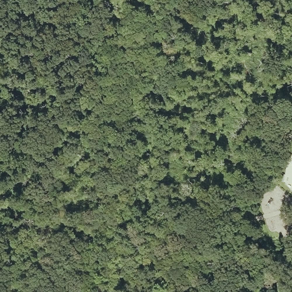 Aerial view of Bisceglie-Scribner Park