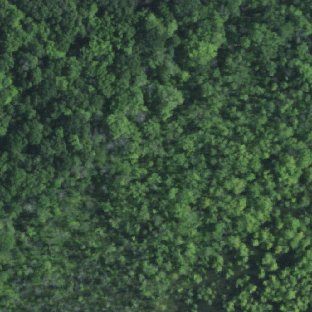Aerial view of Black Creek Park