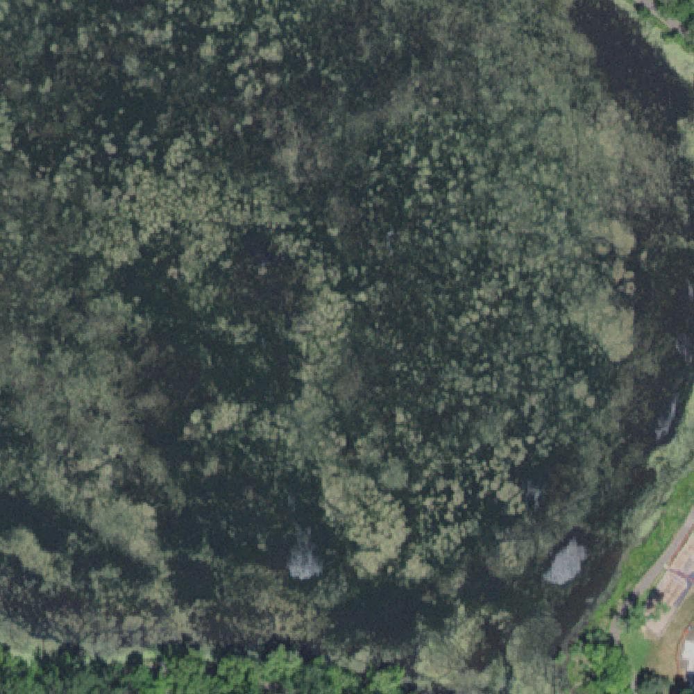 Aerial view of Central Park