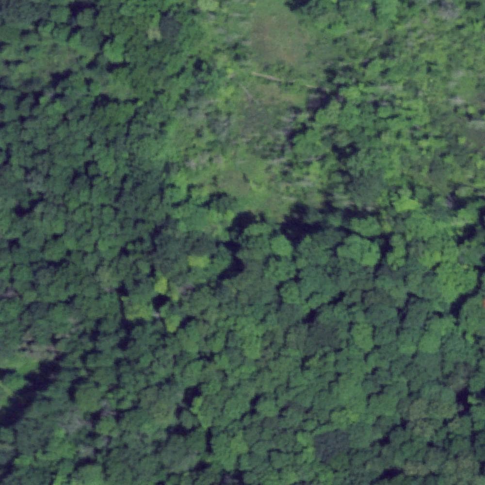 Aerial view of Fishers Park