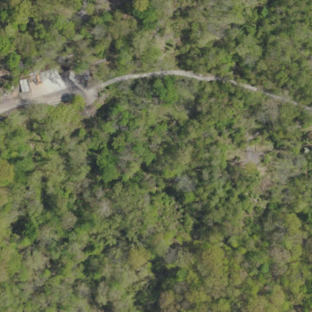 Aerial view of Frick Park