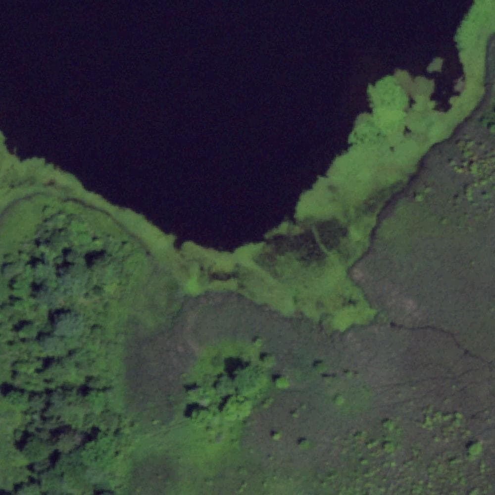Aerial view of Mendon Ponds Park