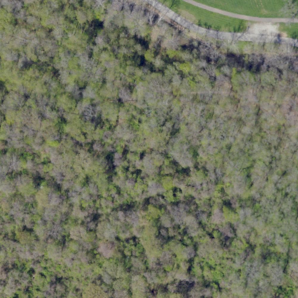 Aerial view of Mingo Creek County Park
