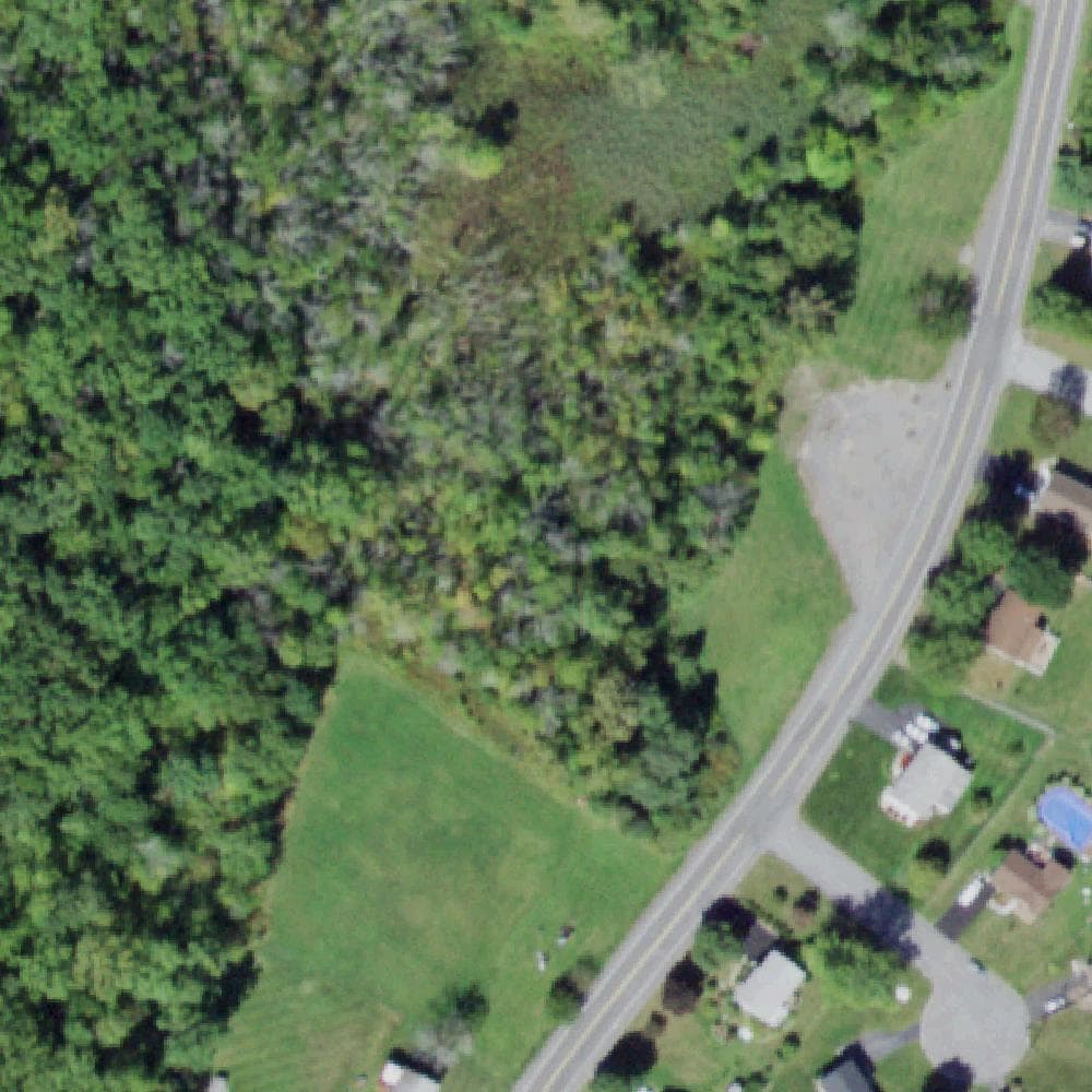 Aerial view of Monarch Park