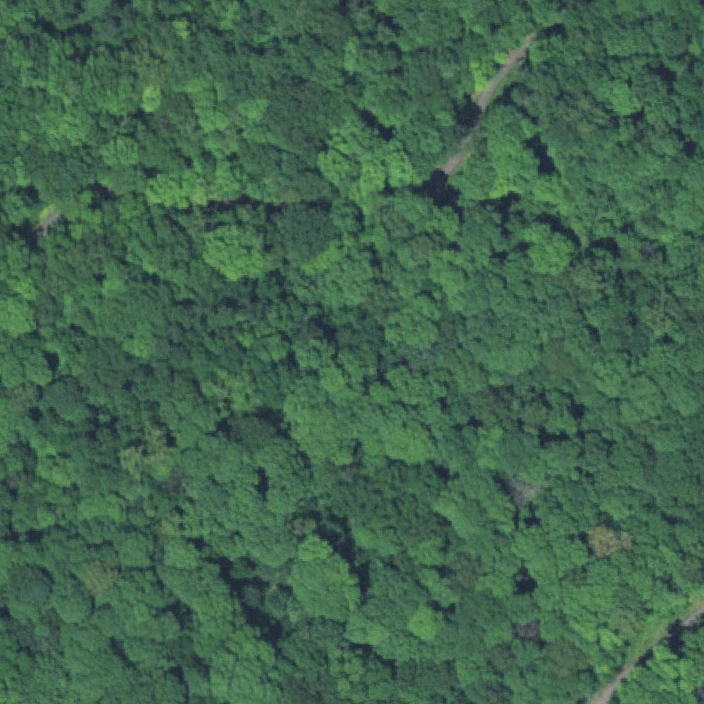 Aerial view of Spring Lake Park