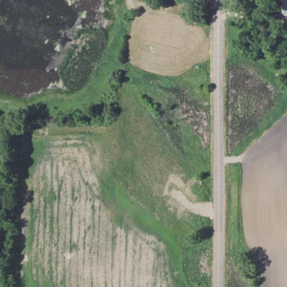Aerial view of Swan Park