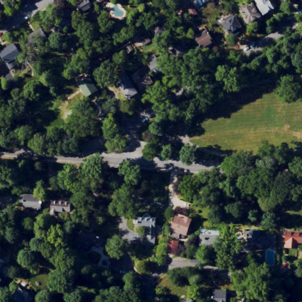 Aerial view of Tyler Park