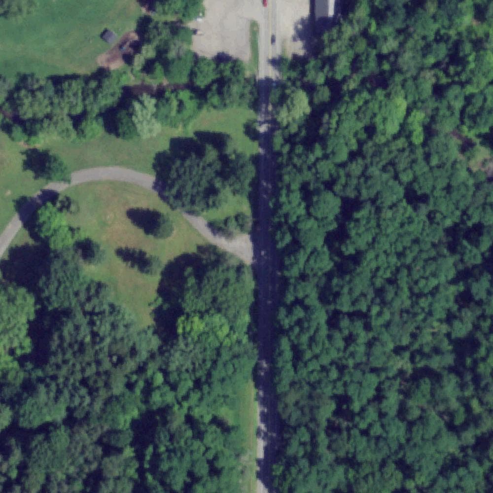 Aerial view of Webster Park