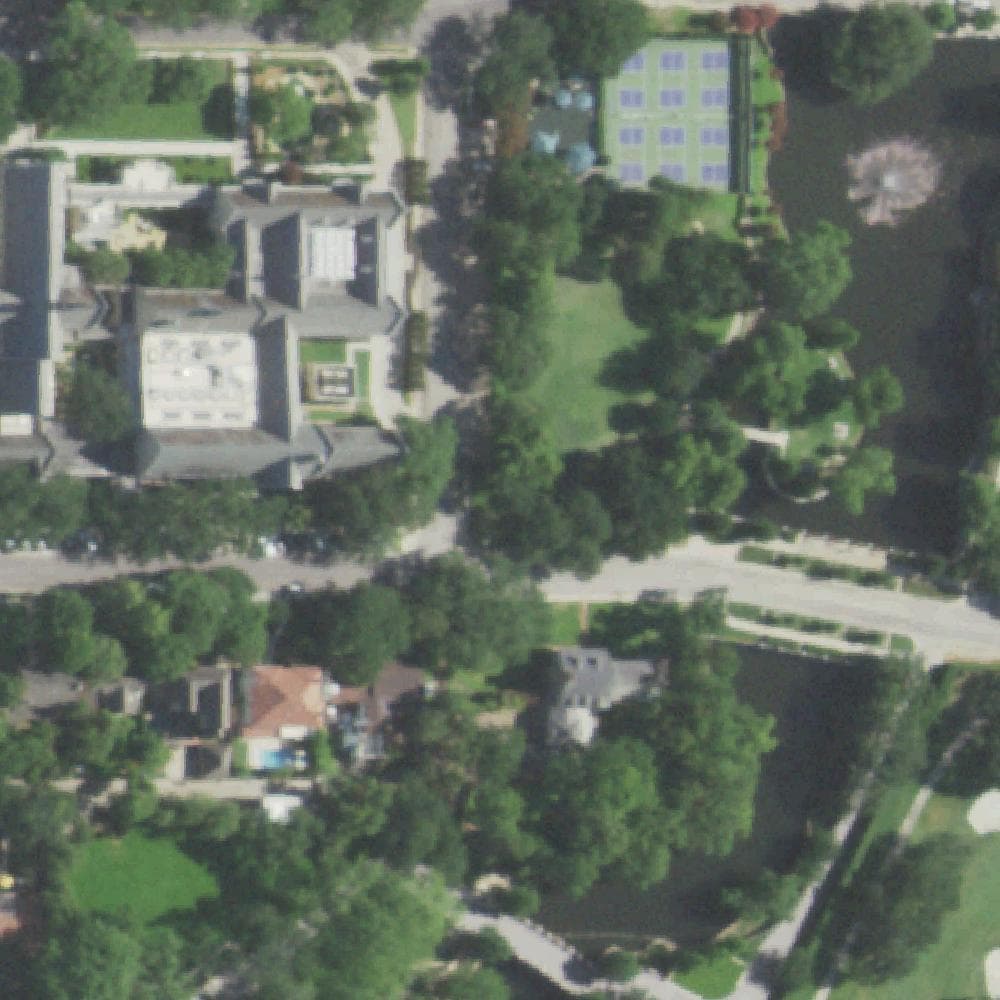 Aerial view of Williams Park
