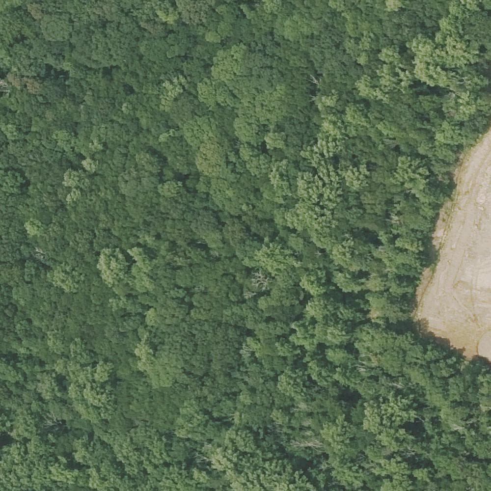 Aerial view of Wolfe Park